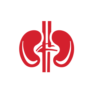 Red kidney icon symbolizing kidney health and care